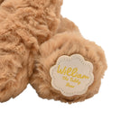 William The Plush Sitting Brown Teddy Bear 22 cm
