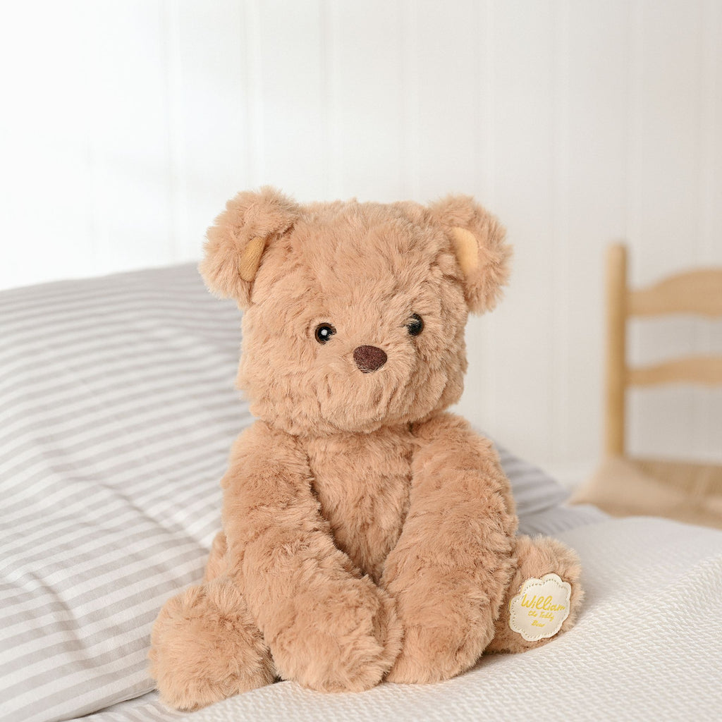 William The Plush Sitting Brown Teddy Bear 22 cm